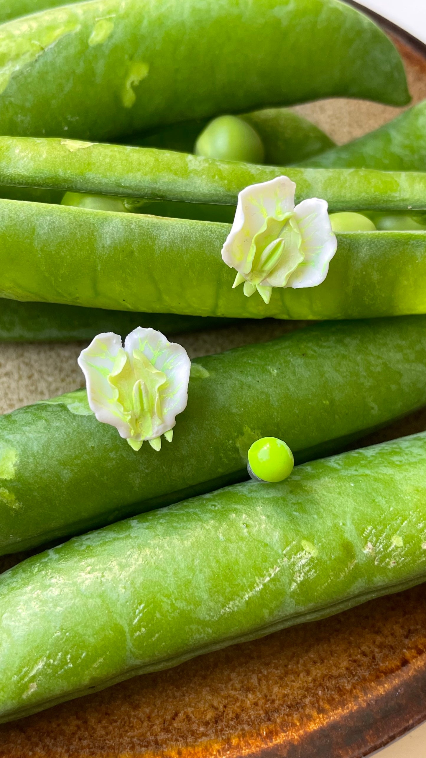 Náušnice Pisum sativum
